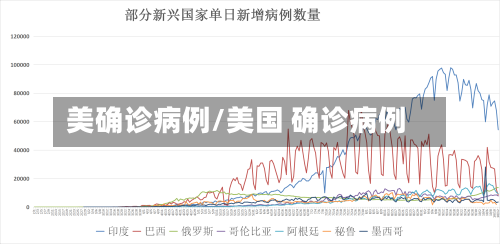 美确诊病例/美国 确诊病例
