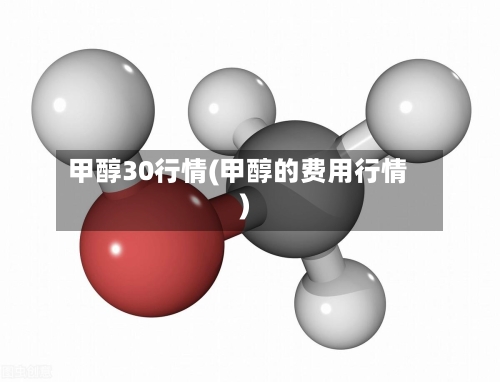 甲醇30行情(甲醇的费用行情)