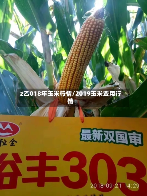 z乙018年玉米行情/2019玉米费用行情