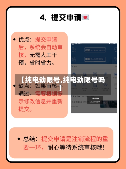 【纯电动限号,纯电动限号吗】-第2张图片