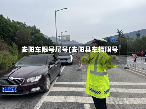 安阳车限号尾号(安阳县车辆限号)-第2张图片
