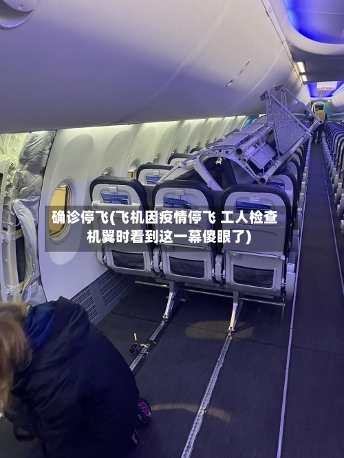 确诊停飞(飞机因疫情停飞 工人检查机翼时看到这一幕傻眼了)-第2张图片