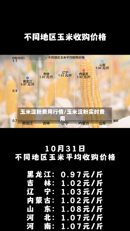 玉米淀粉费用行情/玉米淀粉实时费用-第2张图片