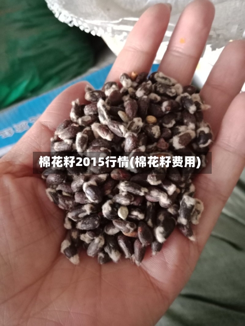 棉花籽2015行情(棉花籽费用)