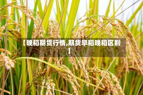 【晚稻期货行情,期货早稻晚稻区别】