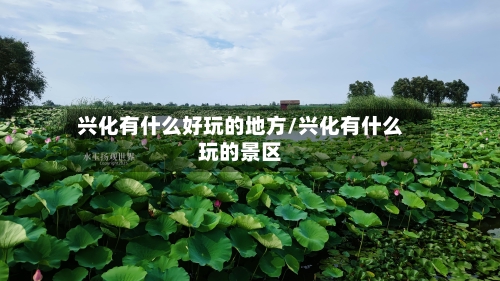 兴化有什么好玩的地方/兴化有什么玩的景区-第2张图片