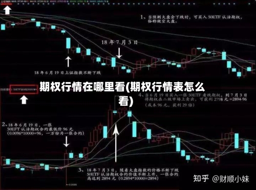 期权行情在哪里看(期权行情表怎么看)-第1张图片