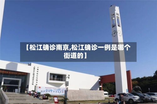 【松江确诊南京,松江确诊一例是哪个街道的】-第3张图片