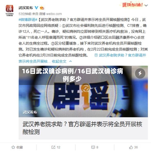 16日武汉确诊病例/16日武汉确诊病例多少