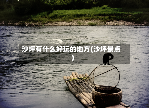 沙坪有什么好玩的地方(沙坪景点)-第2张图片