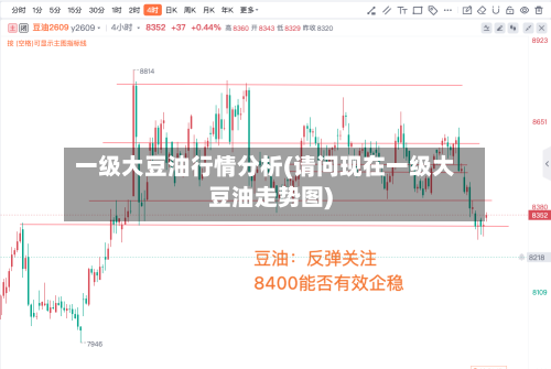 一级大豆油行情分析(请问现在一级大豆油走势图)
