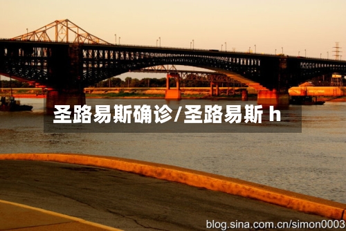圣路易斯确诊/圣路易斯 h-第3张图片