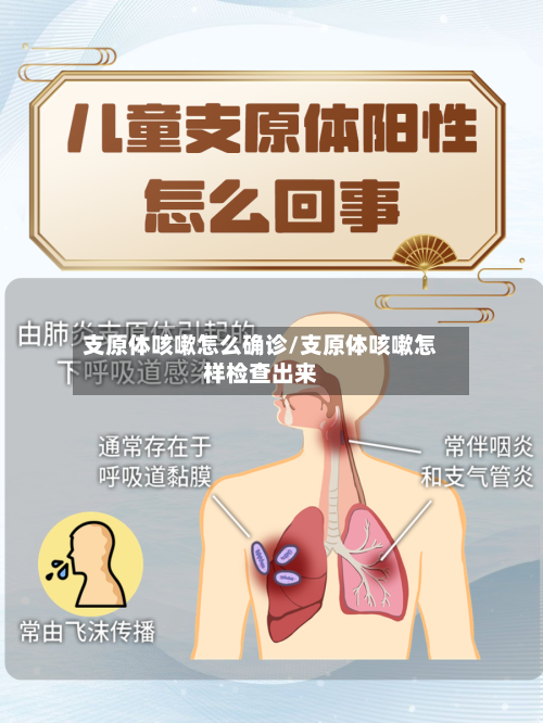 支原体咳嗽怎么确诊/支原体咳嗽怎样检查出来