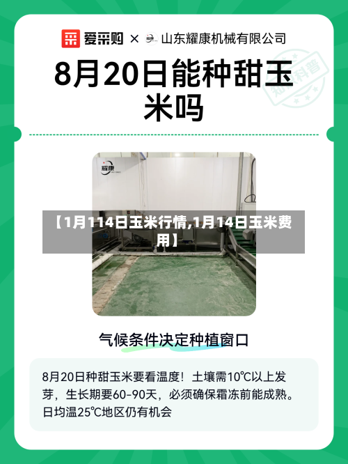 【1月114日玉米行情,1月14日玉米费用】-第3张图片