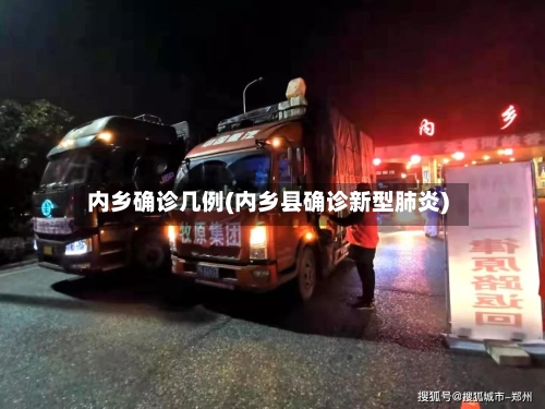 内乡确诊几例(内乡县确诊新型肺炎)-第2张图片