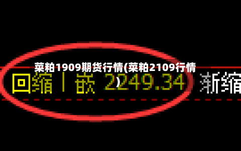 菜粕1909期货行情(菜粕2109行情)-第2张图片