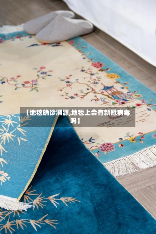 【地毯确诊溯源,地毯上会有新冠病毒吗】