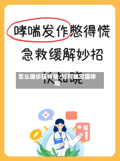 怎么确诊猫哮喘/如何确定猫哮喘