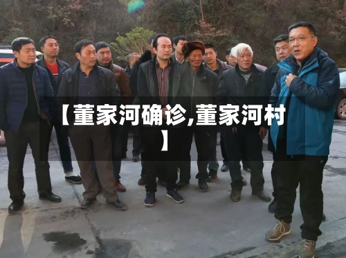 【董家河确诊,董家河村】