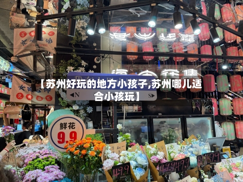 【苏州好玩的地方小孩子,苏州哪儿适合小孩玩】-第2张图片