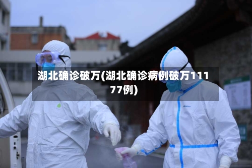 湖北确诊破万(湖北确诊病例破万11177例)-第2张图片