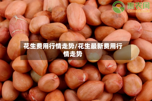 花生费用行情走势/花生最新费用行情走势-第1张图片
