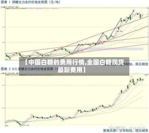 【中国白糖的费用行情,全国白糖现货最新费用】-第3张图片