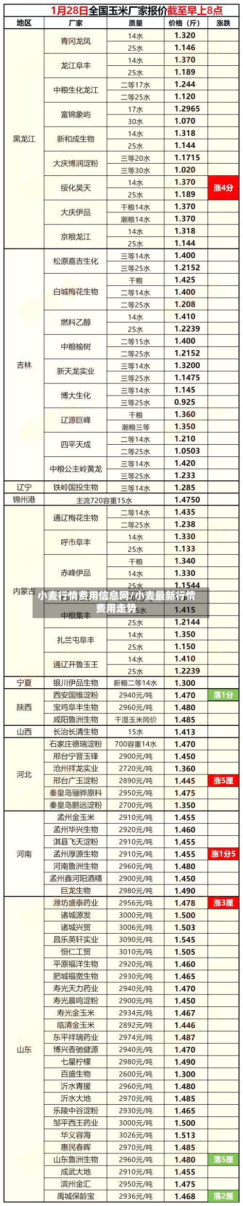 小麦行情费用信息网/小麦最新行情费用走势-第1张图片