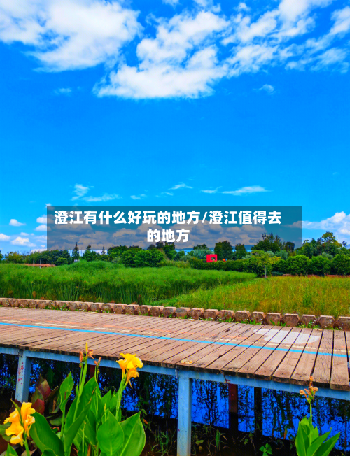 澄江有什么好玩的地方/澄江值得去的地方-第1张图片