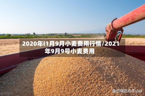 2020年l1月9月小麦费用行情/2021年9月9号小麦费用-第3张图片