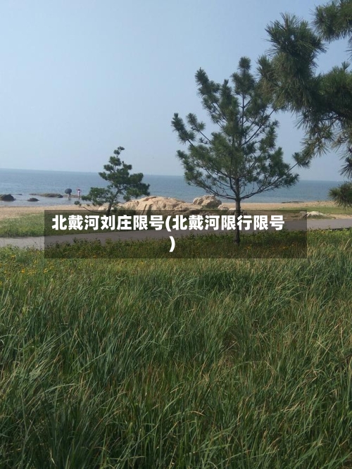 北戴河刘庄限号(北戴河限行限号)-第1张图片
