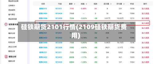 硅铁期货2101行情(2109硅铁期货费用)-第1张图片