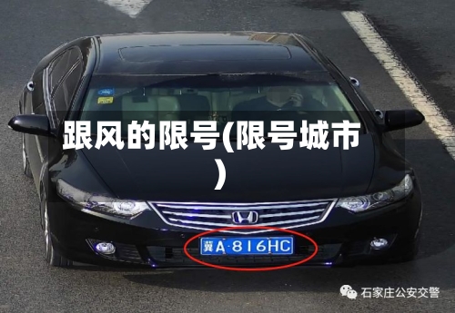 跟风的限号(限号城市)-第1张图片