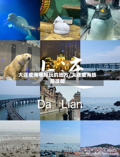 大连威海哪好玩的地方/大连威海旅游攻略-第2张图片