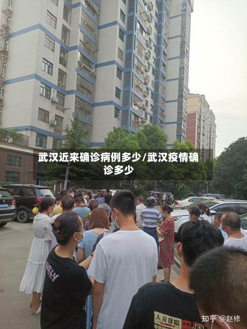 武汉近来确诊病例多少/武汉疫情确诊多少-第3张图片