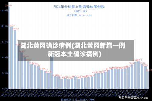 湖北黄冈确诊病例(湖北黄冈新增一例新冠本土确诊病例)