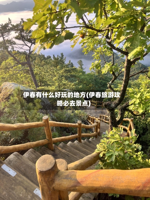 伊春有什么好玩的地方(伊春旅游攻略必去景点)