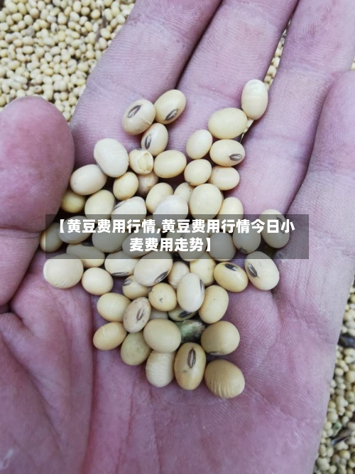 【黄豆费用行情,黄豆费用行情今日小麦费用走势】