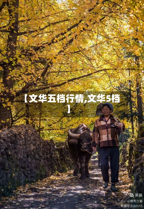 【文华五档行情,文华5档】-第1张图片