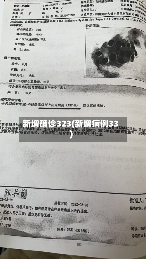 新增确诊323(新增病例33)-第2张图片