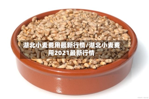 湖北小麦费用最新行情/湖北小麦费用2021最新行情-第1张图片