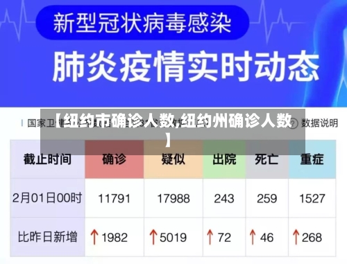 【纽约市确诊人数,纽约州确诊人数】-第3张图片