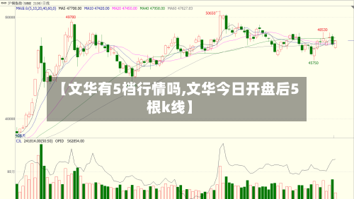 【文华有5档行情吗,文华今日开盘后5根k线】-第3张图片