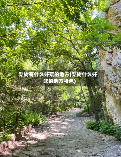 梨树有什么好玩的地方(梨树什么好吃的地方特色)-第2张图片