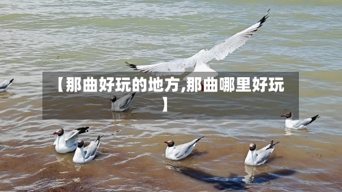 【那曲好玩的地方,那曲哪里好玩】