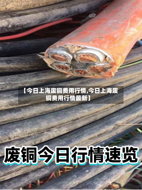 【今日上海废铜费用行情,今日上海废铜费用行情最新】-第2张图片