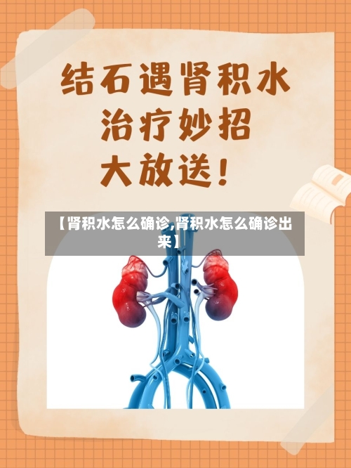 【肾积水怎么确诊,肾积水怎么确诊出来】-第2张图片