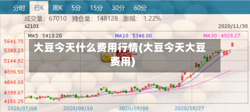 大豆今天什么费用行情(大豆今天大豆费用)