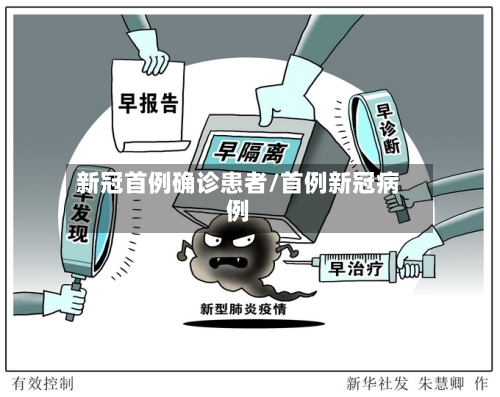 新冠首例确诊患者/首例新冠病例