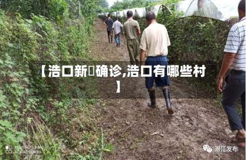 【浩口新剅确诊,浩口有哪些村】-第2张图片